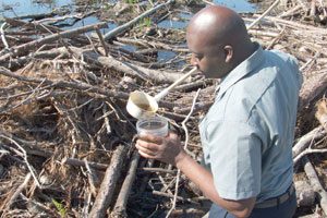 Mosquito Abatement